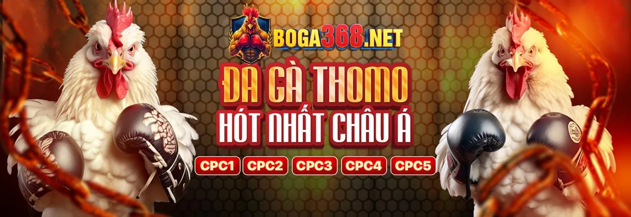 Hướng dẫn cá cược thể thao tại okvip1